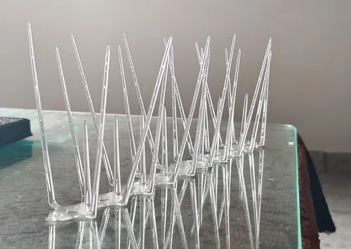  Bird Spikes